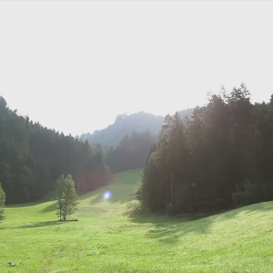 Video aus dem Hotel Post Bezau, in dem Stephanie Rist das Abendritual erklärt